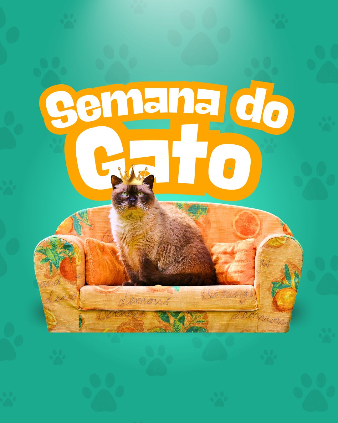 Semana do Gato