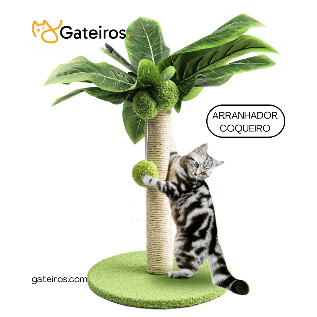 Arranhador Coqueiro