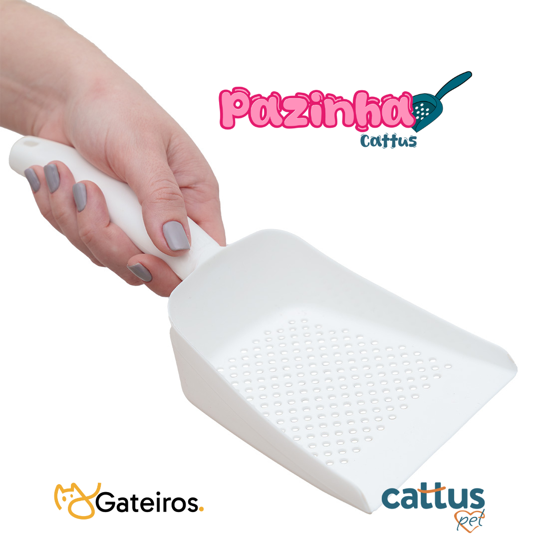 Pazinha Cattus