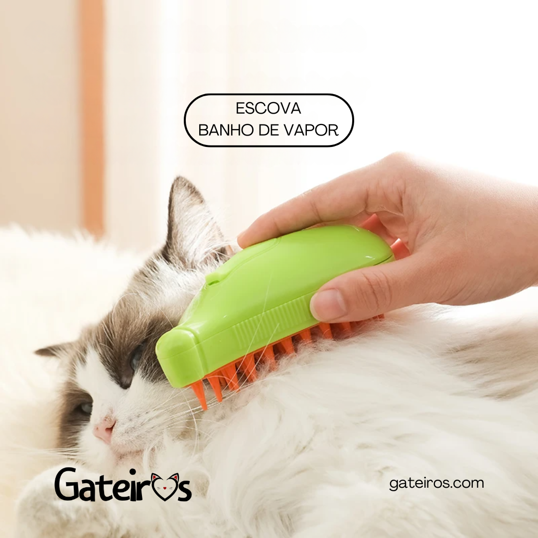 Escova Banho de Vapor - Gateiros