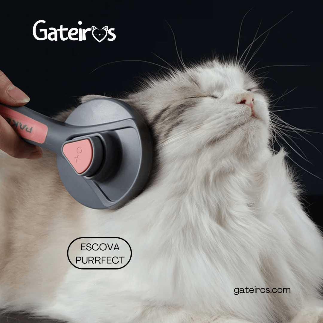 Escova Purrfect - Gateiros