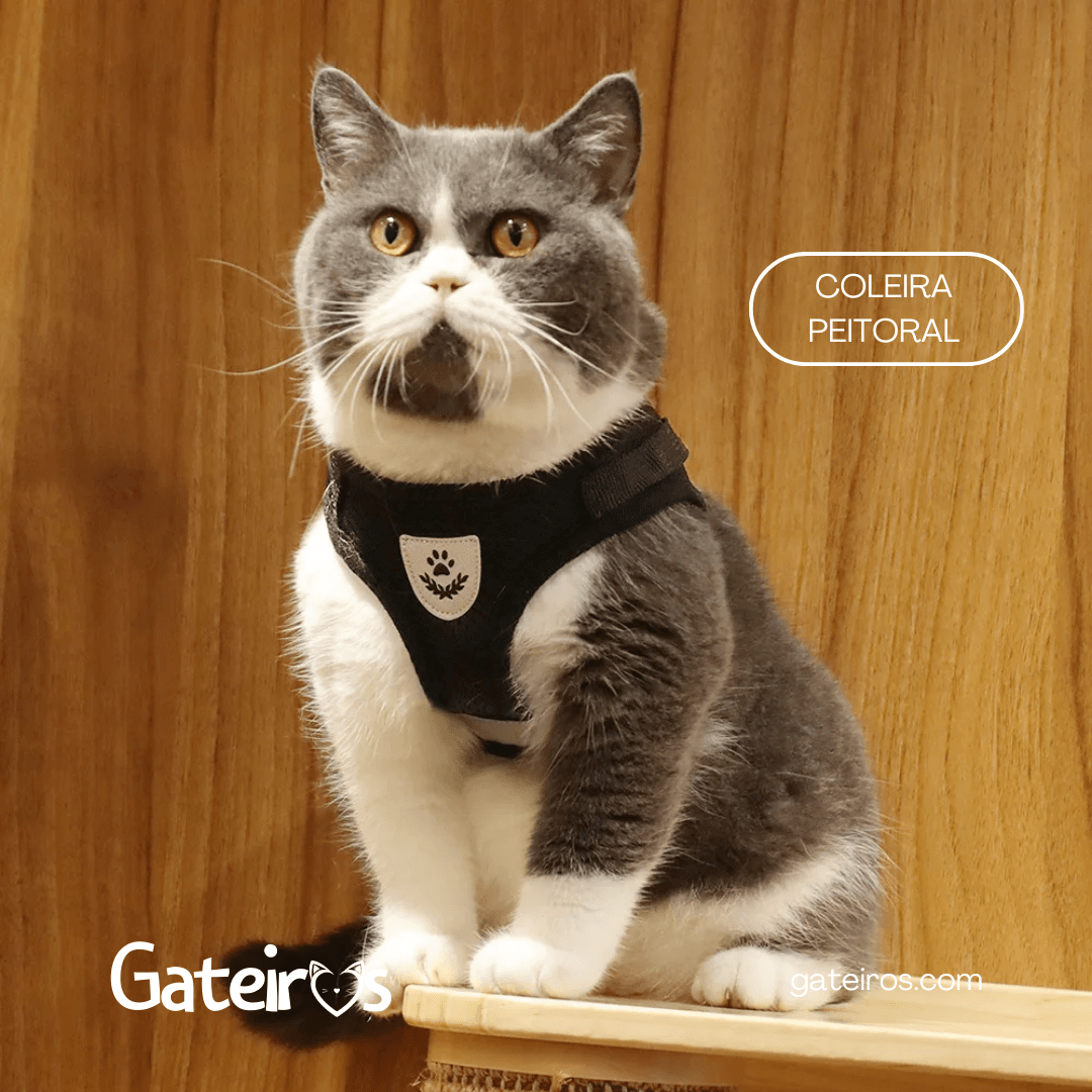 Coleira Peitoral Respirável - Gateiros