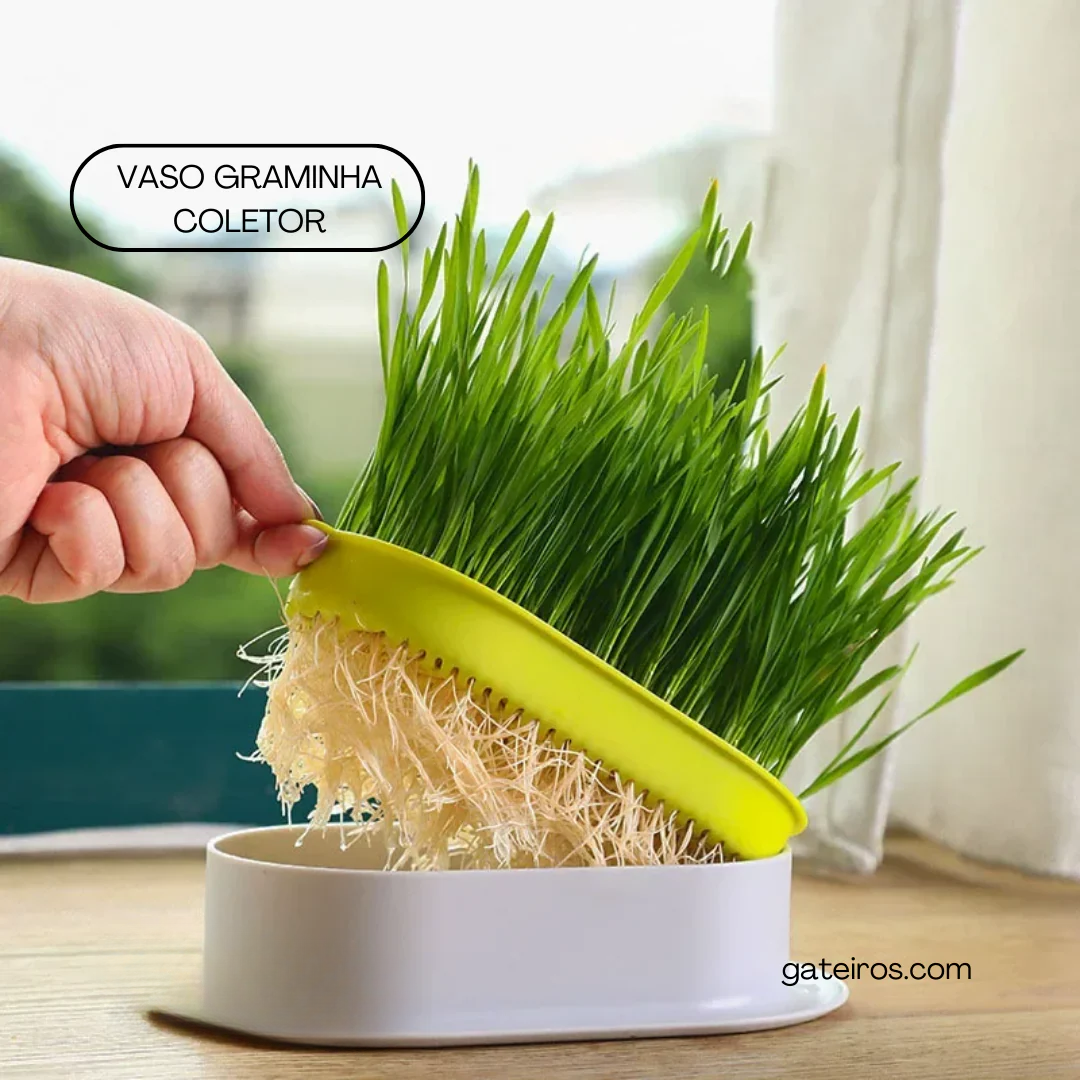 Vaso Graminha Coletor