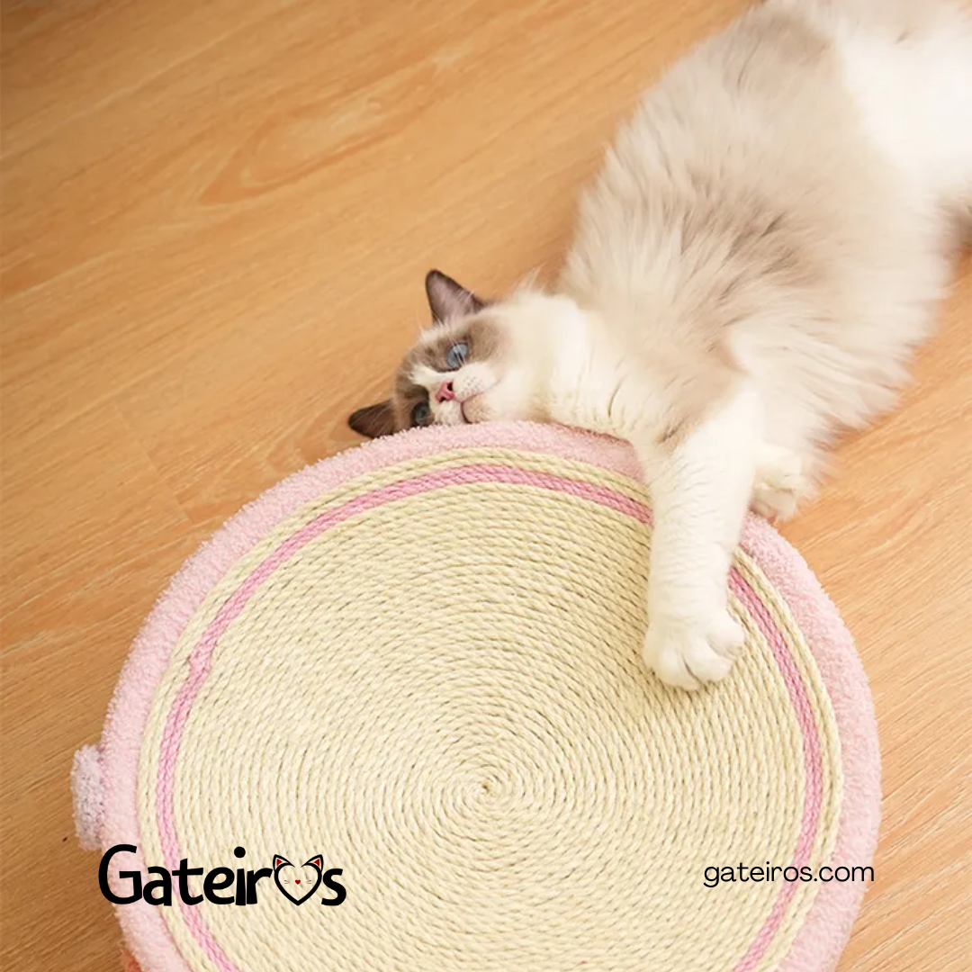 Caminha Arranhador - Gateiros