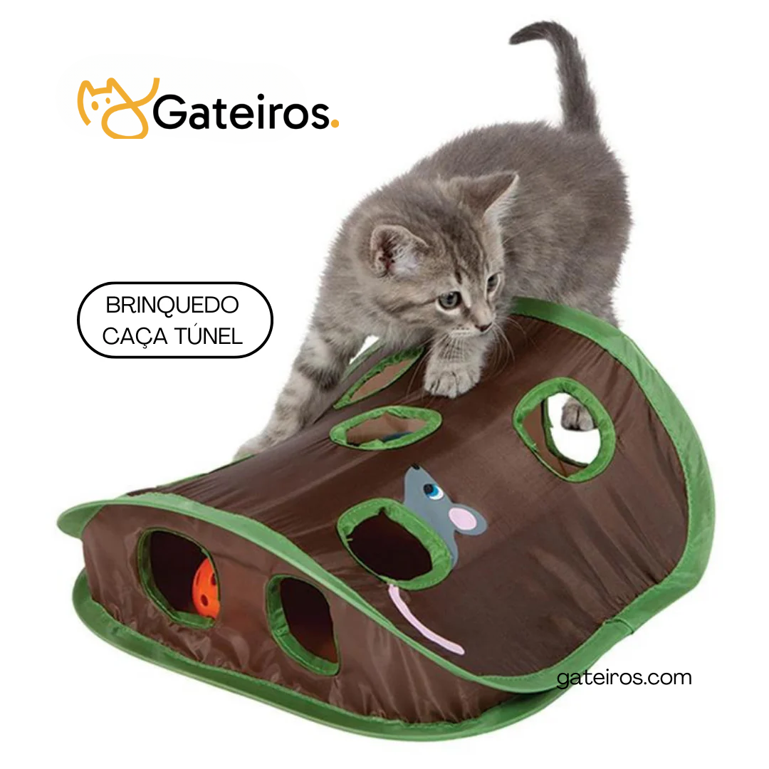 Brinquedo Caça Túnel