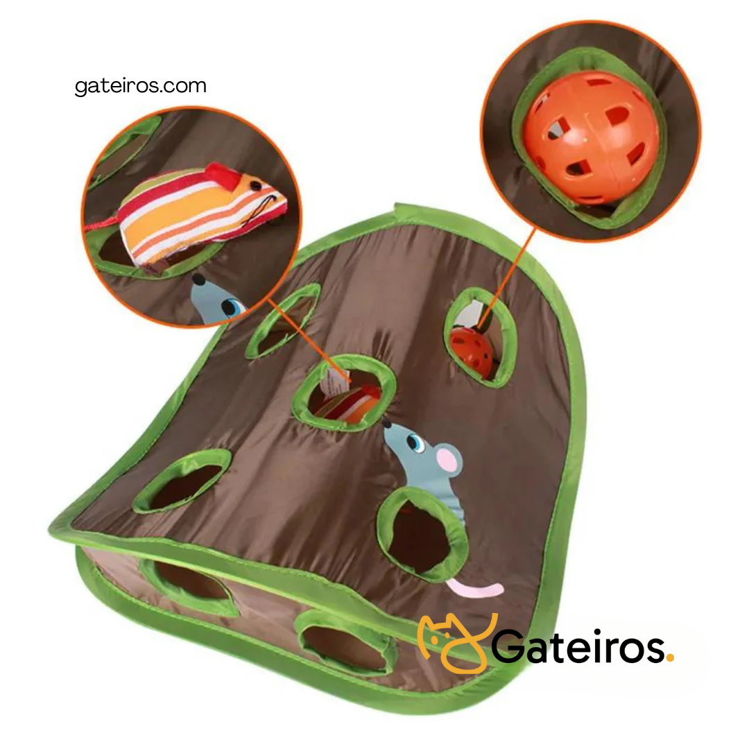 Brinquedo Caça Túnel