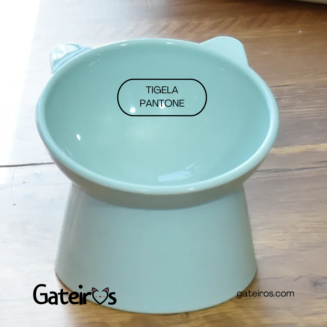 Tigela Pantone