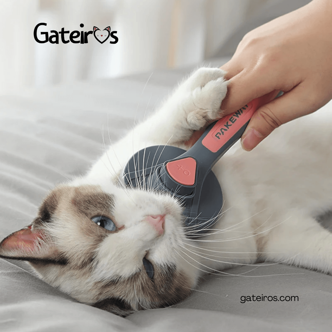 Escova Purrfect - Gateiros