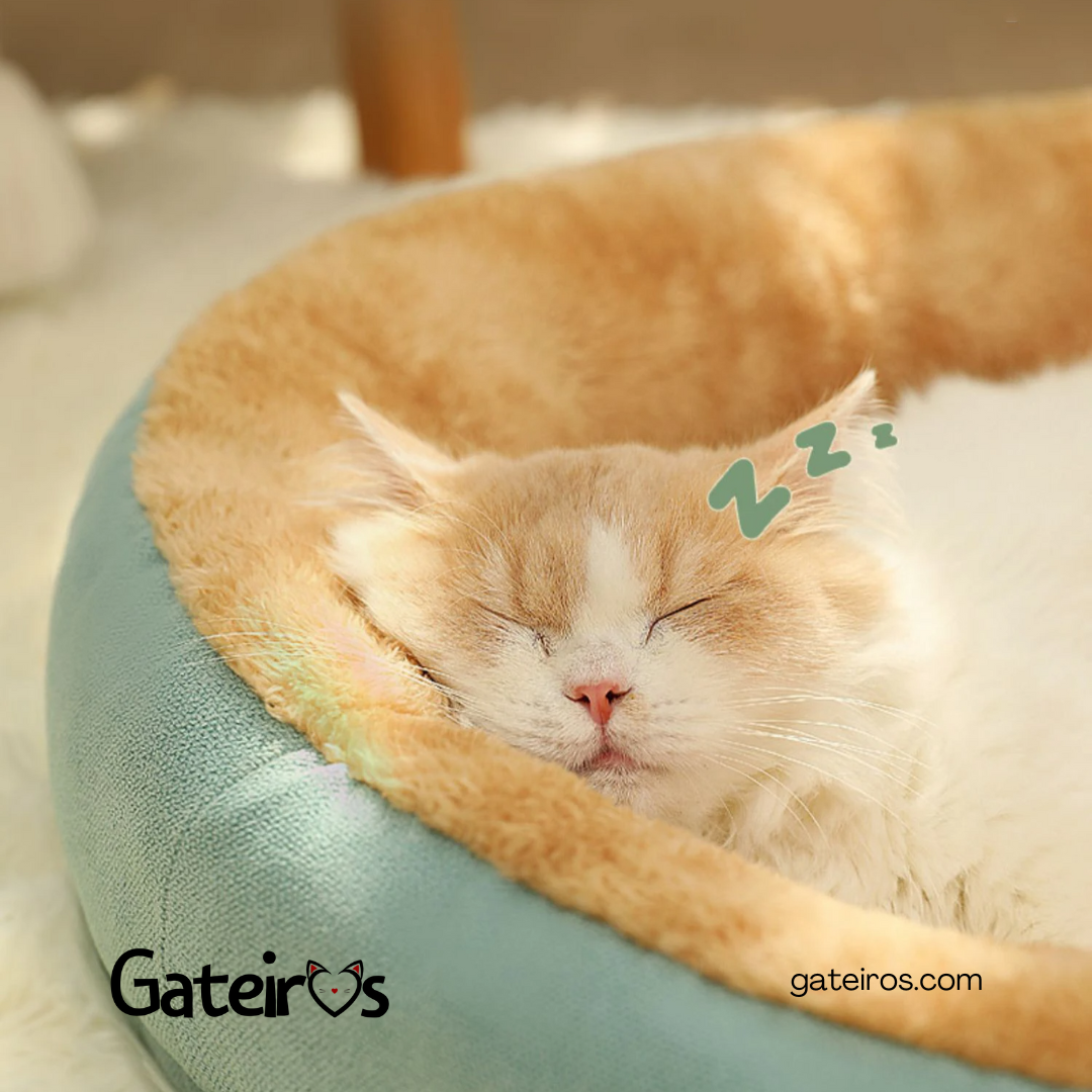 Caminha Plush - Gateiros