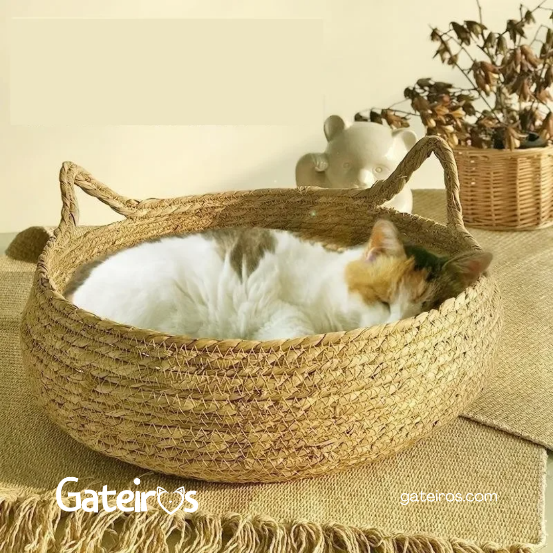 Cesto Gatinho - Gateiros