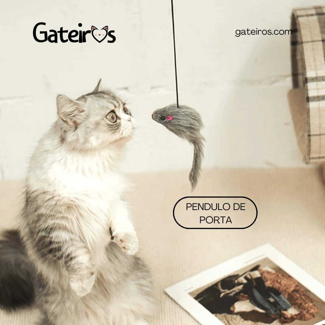 Pendulo de Porta - Gateiros