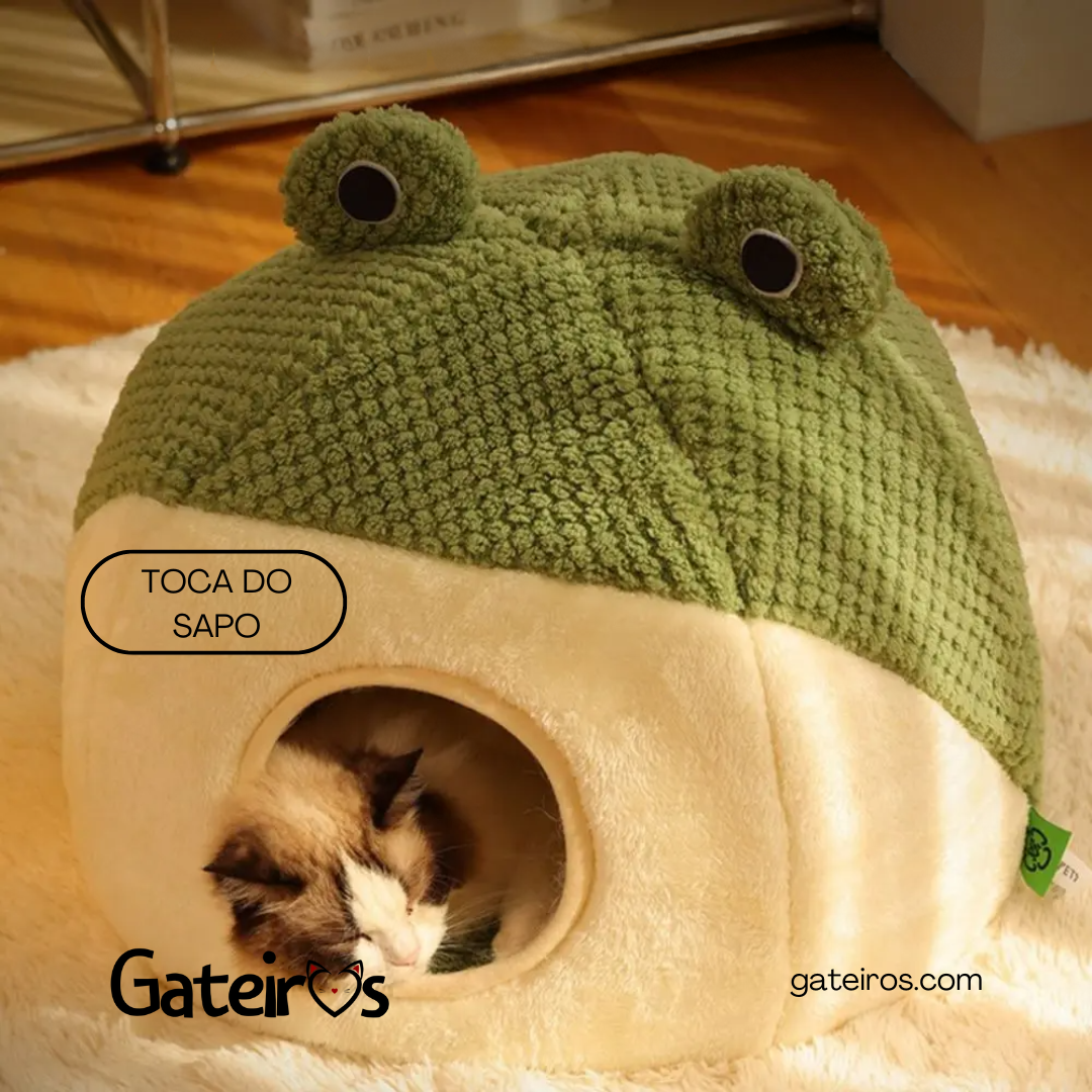 Toca do Sapo - Gateiros