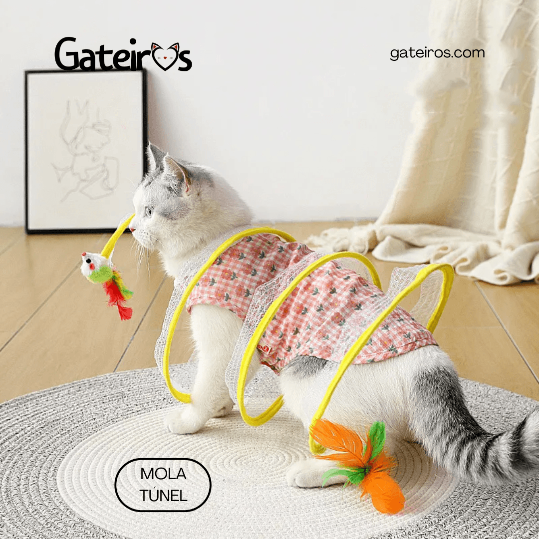 Mola Túnel - Gateiros