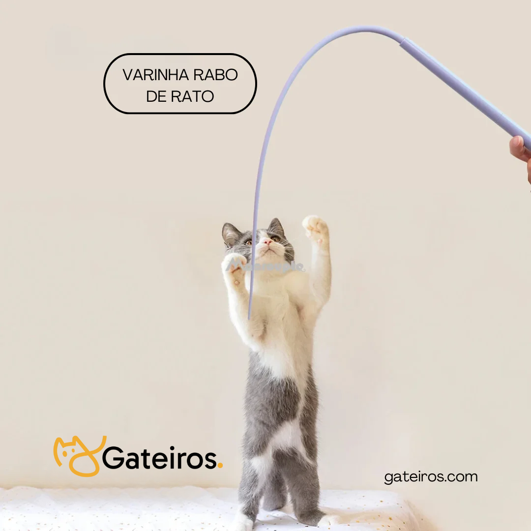 Varinha Rabo de Rato | Kit 2 Unidades