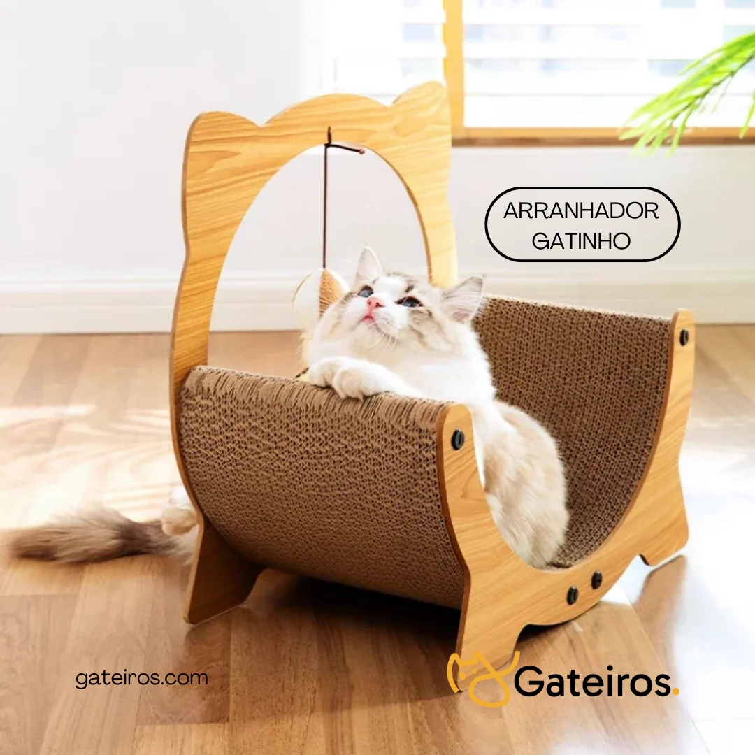 Arranhador Gatinho