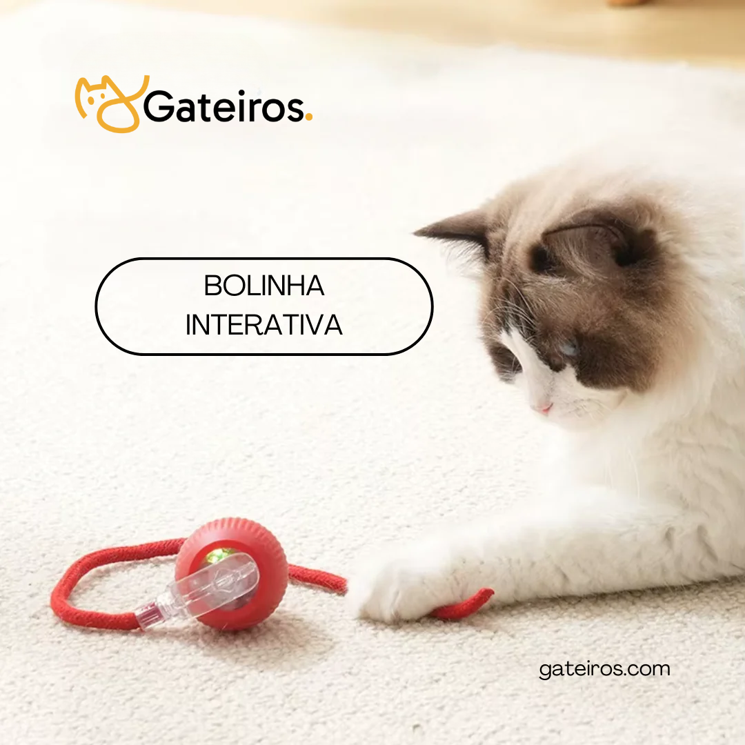 Bolinha Interativa