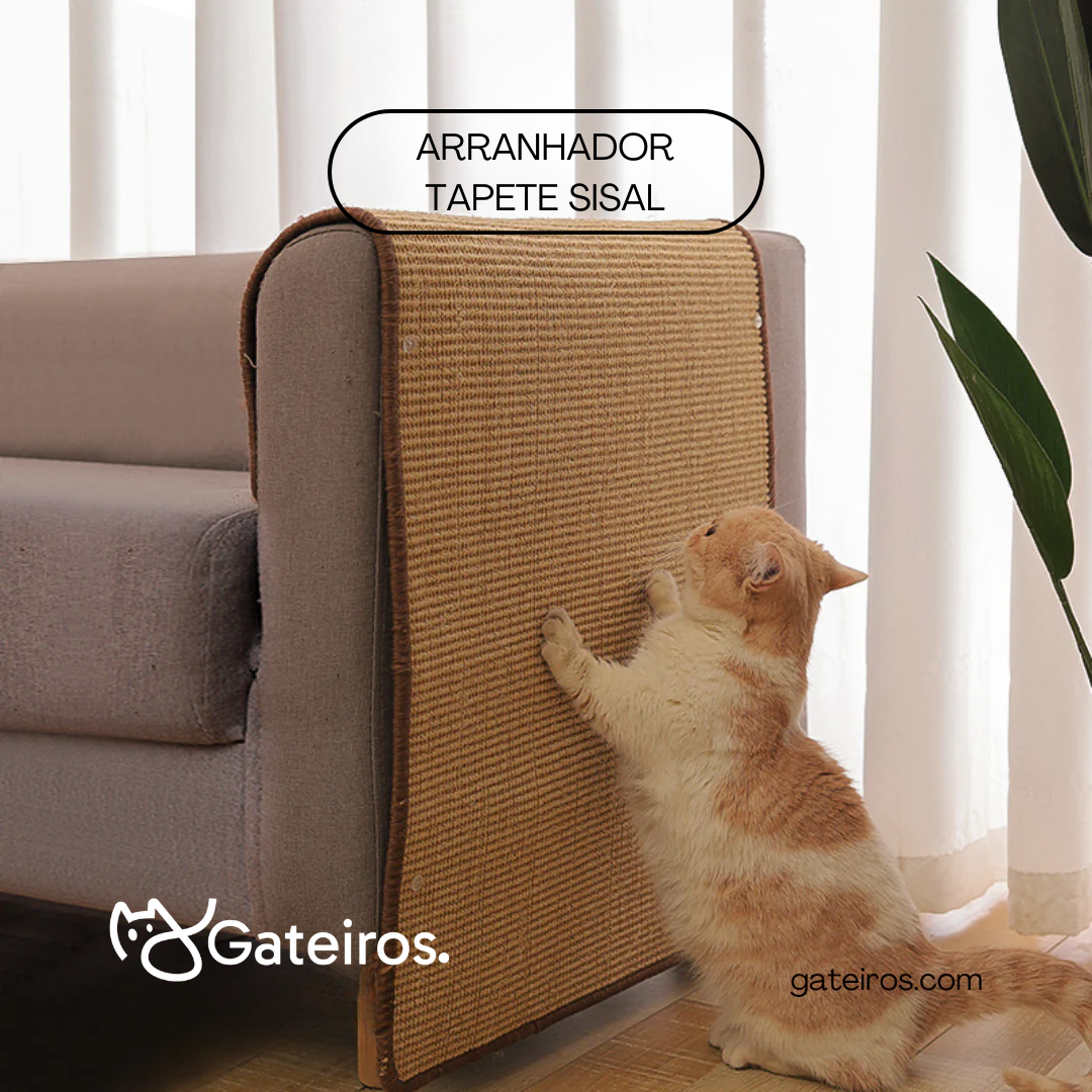 Arranhador Tapete de Sizal
