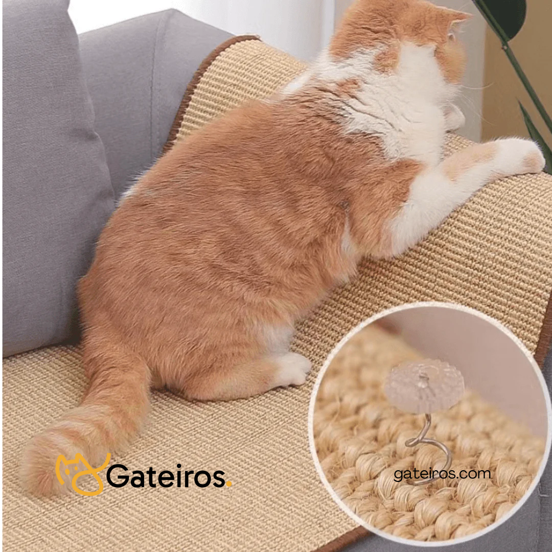 Arranhador Tapete de Sizal