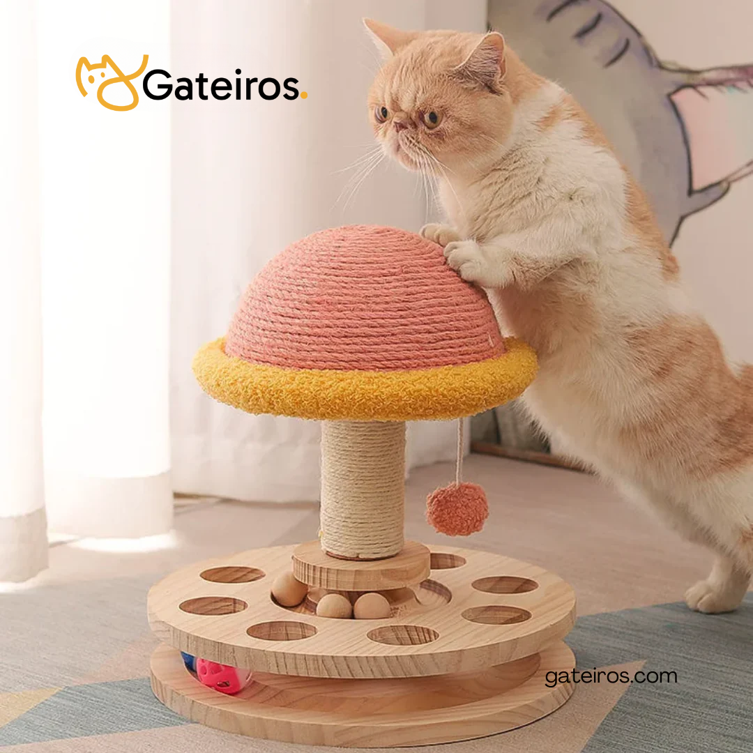 Arranhador Cogumelo