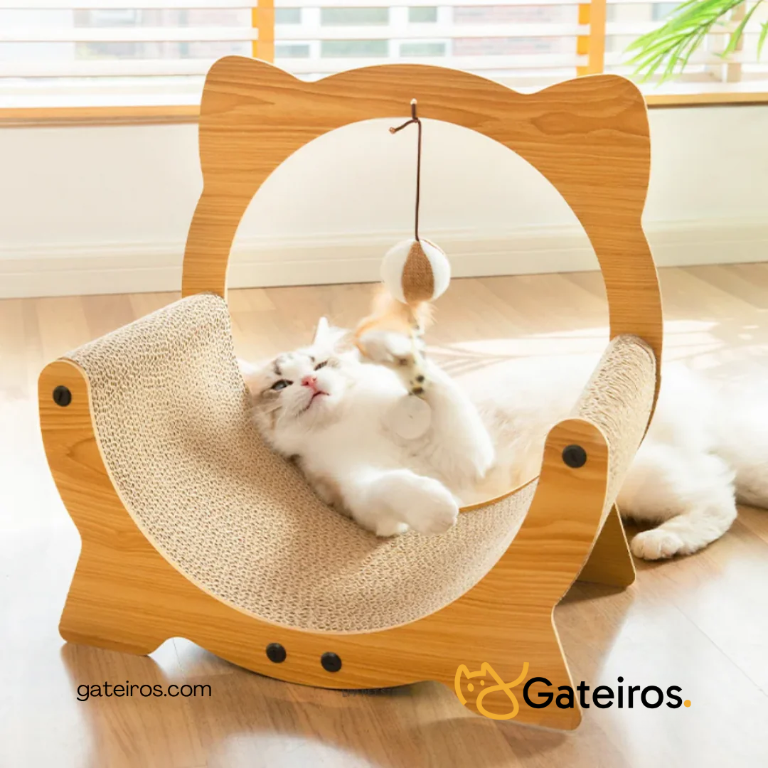 Arranhador Gatinho