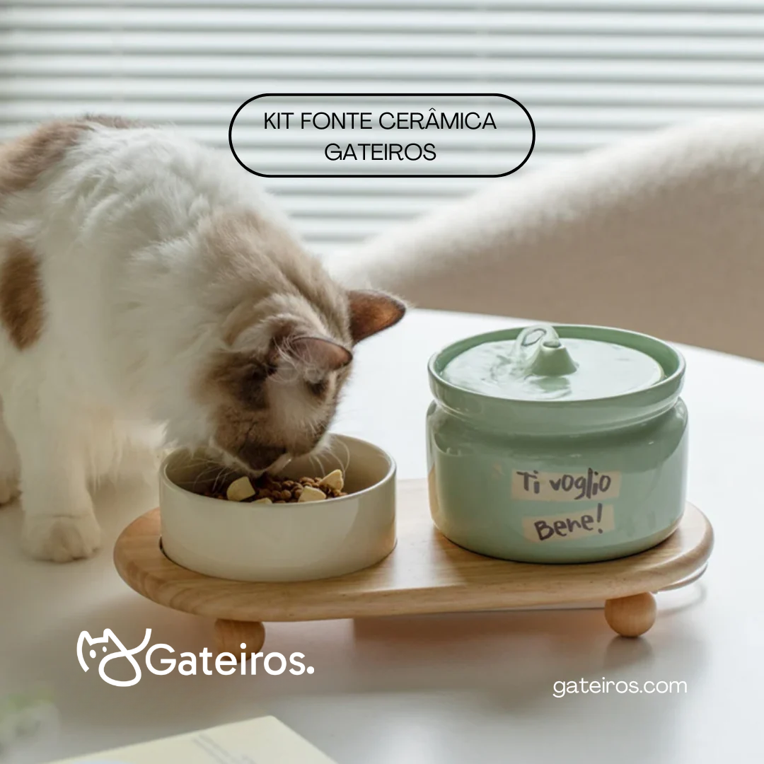 Kit Cerâmica Gateiros