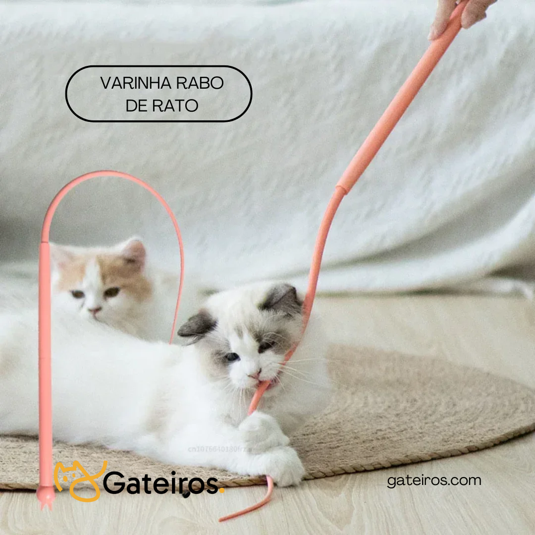 Varinha Rabo de Rato | Kit 2 Unidades