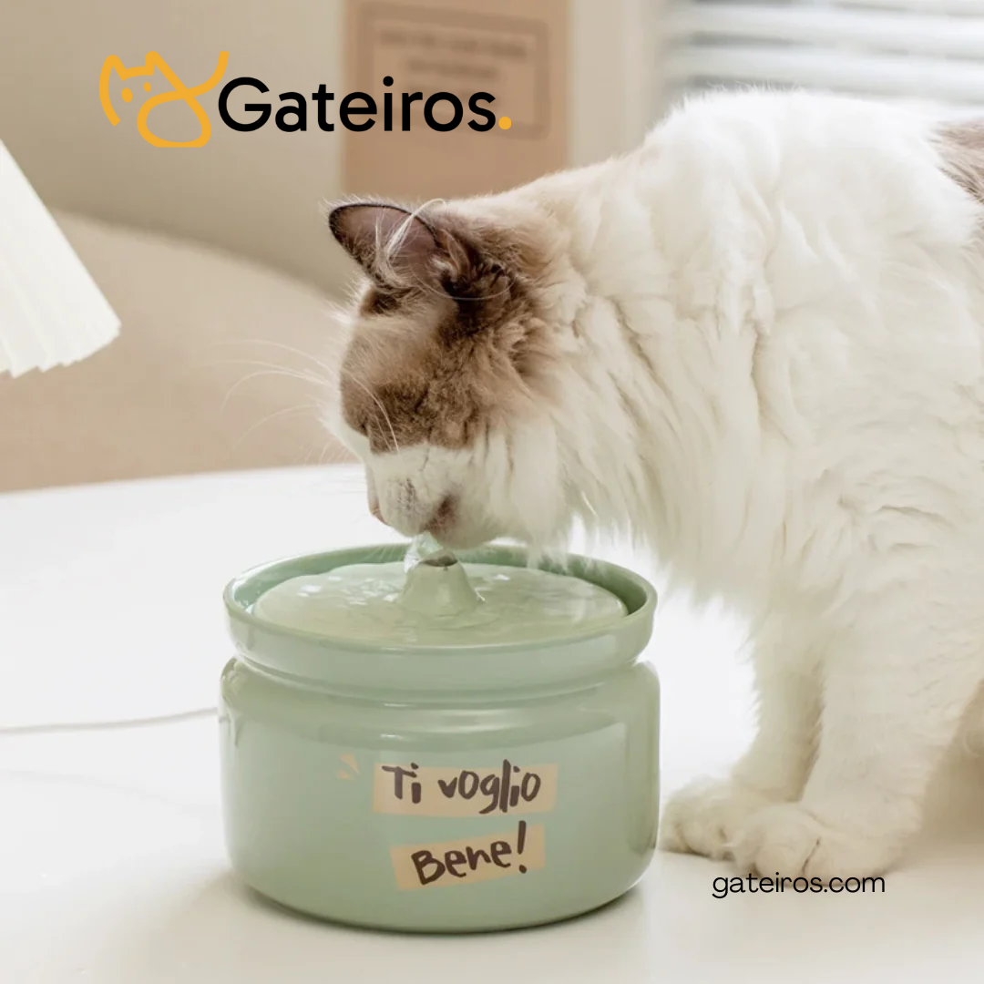 Kit Cerâmica Gateiros