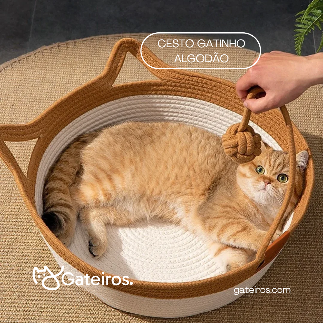 Cesto Gatinho Algodão