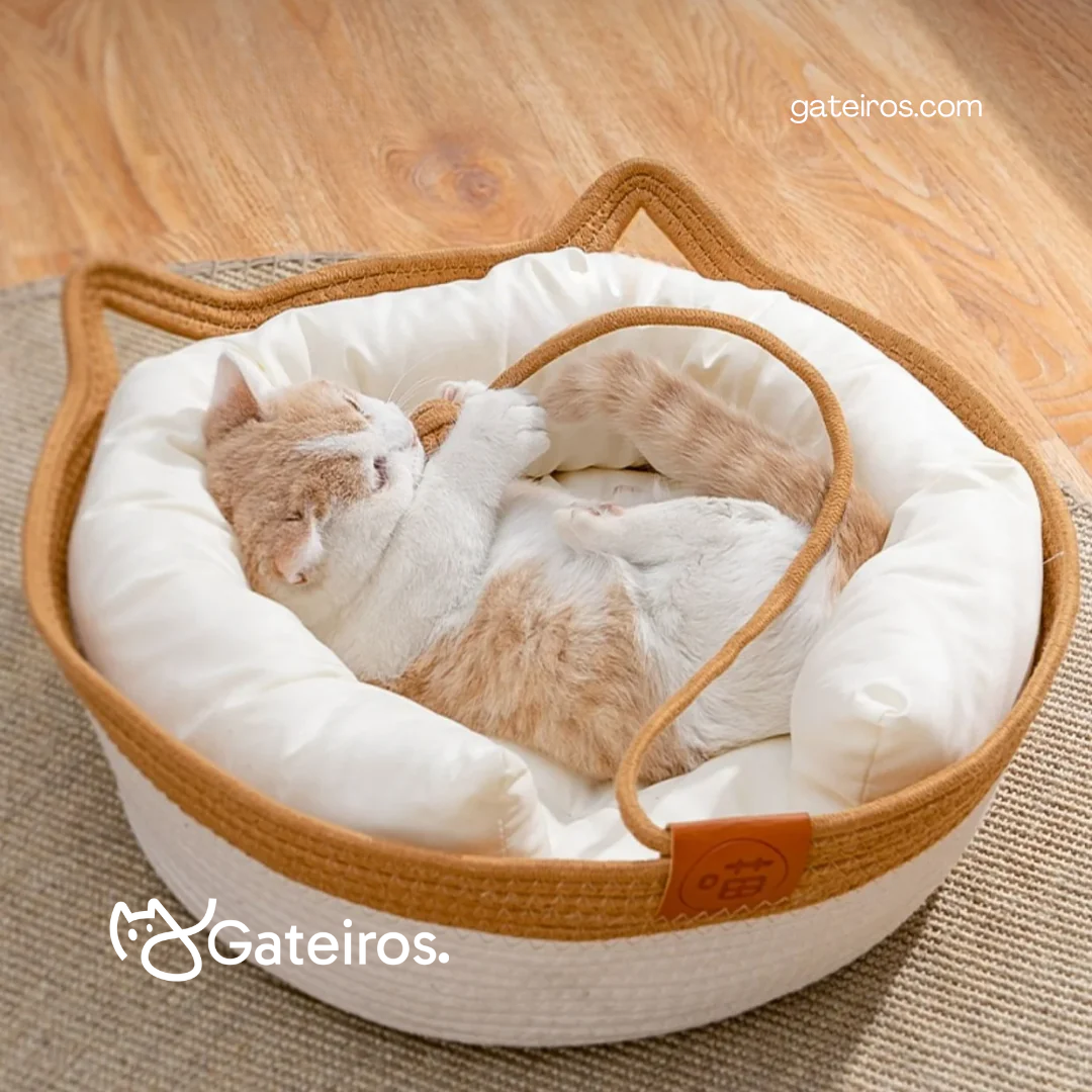 Cesto Gatinho Algodão