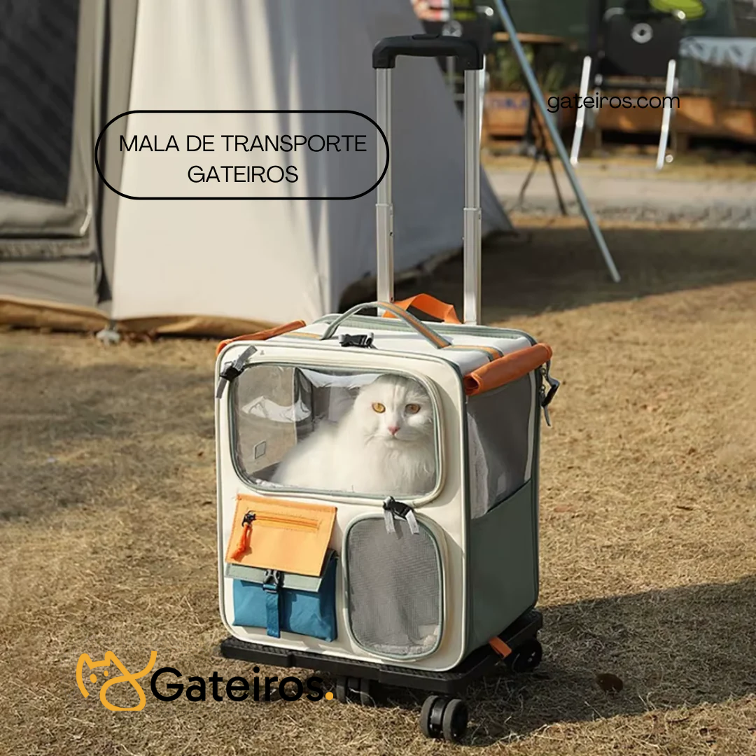 Mala de Transporte Gateiros