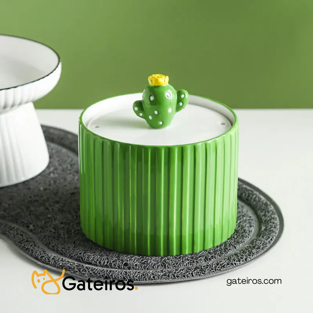 Fonte de Cerâmica Cacto Raiado