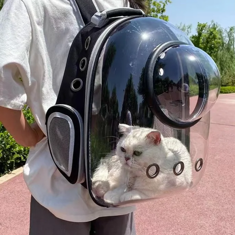 Mochila de Transporte Globo