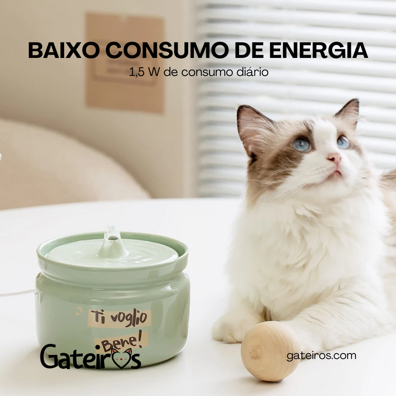 Kit Cerâmica Gateiros