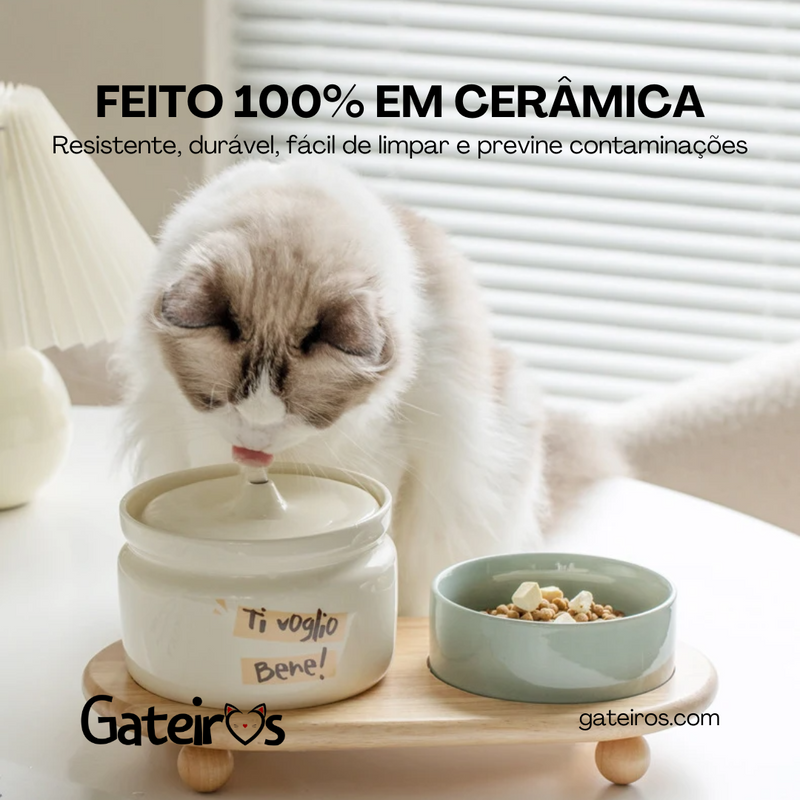 Kit Cerâmica Gateiros