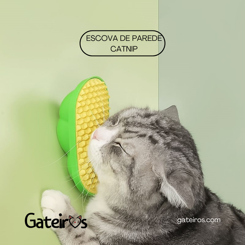 Escova de Parede Catnip | Kit 2 Unidades