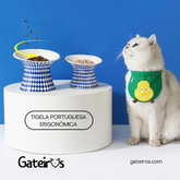 Tigela Portuguesa