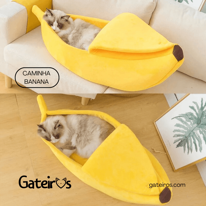 Caminha Banana - Gateiros