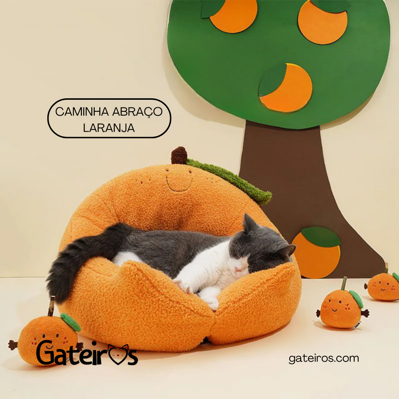 Caminha Abraço Laranja - Gateiros