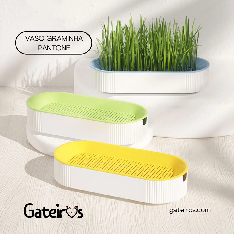 Vaso Graminha Pantone - Gateiros