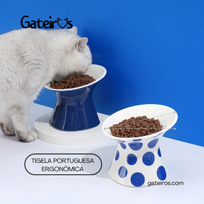 Tigela Portuguesa