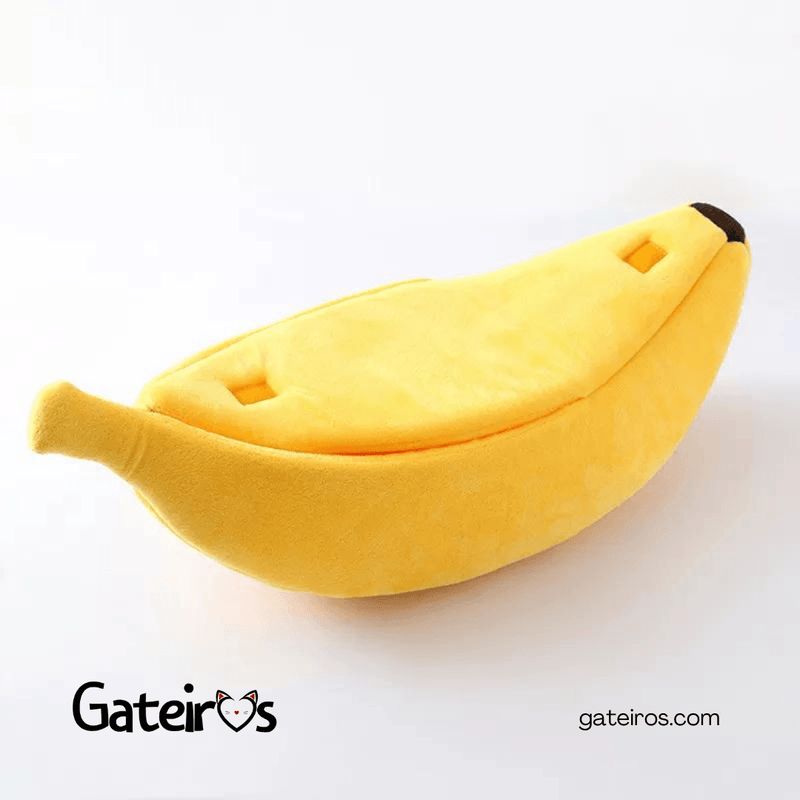 Caminha Banana - Gateiros