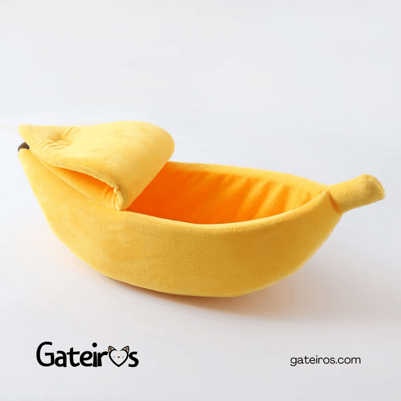 Caminha Banana - Gateiros