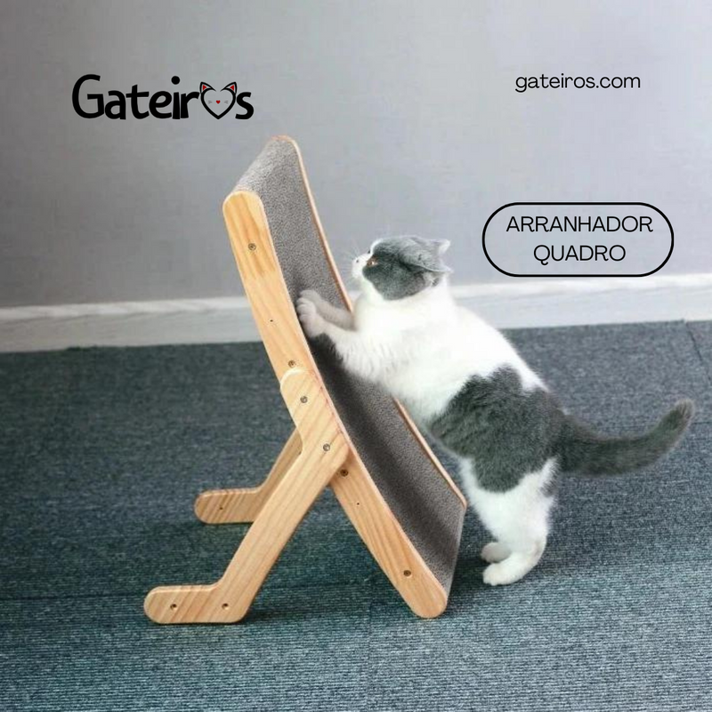 Arranhador Quadro - Gateiros