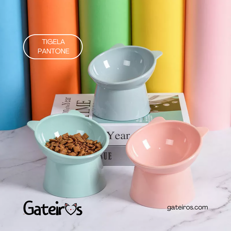 Tigela Pantone - Gateiros