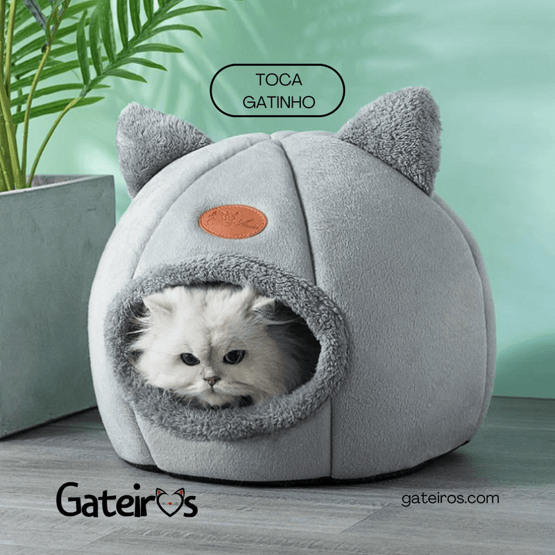 Toca Gatinho - Gateiros